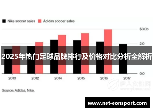 2025年热门足球品牌排行及价格对比分析全解析