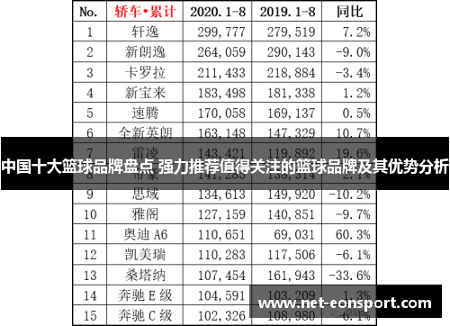 中国十大篮球品牌盘点 强力推荐值得关注的篮球品牌及其优势分析