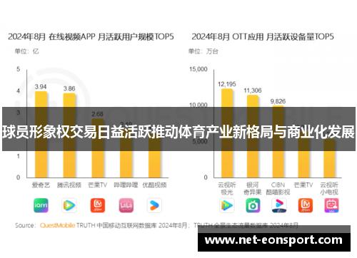 球员形象权交易日益活跃推动体育产业新格局与商业化发展