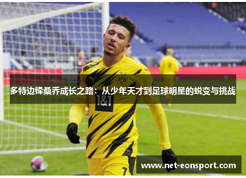 多特边锋桑乔成长之路：从少年天才到足球明星的蜕变与挑战