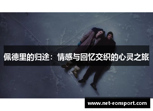 佩德里的归途：情感与回忆交织的心灵之旅